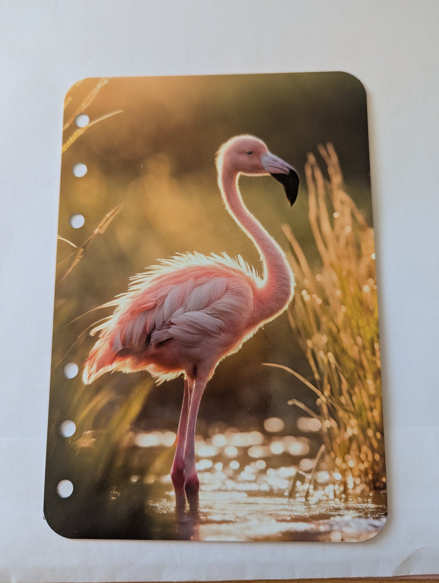 Trennblatt Flamingo - real