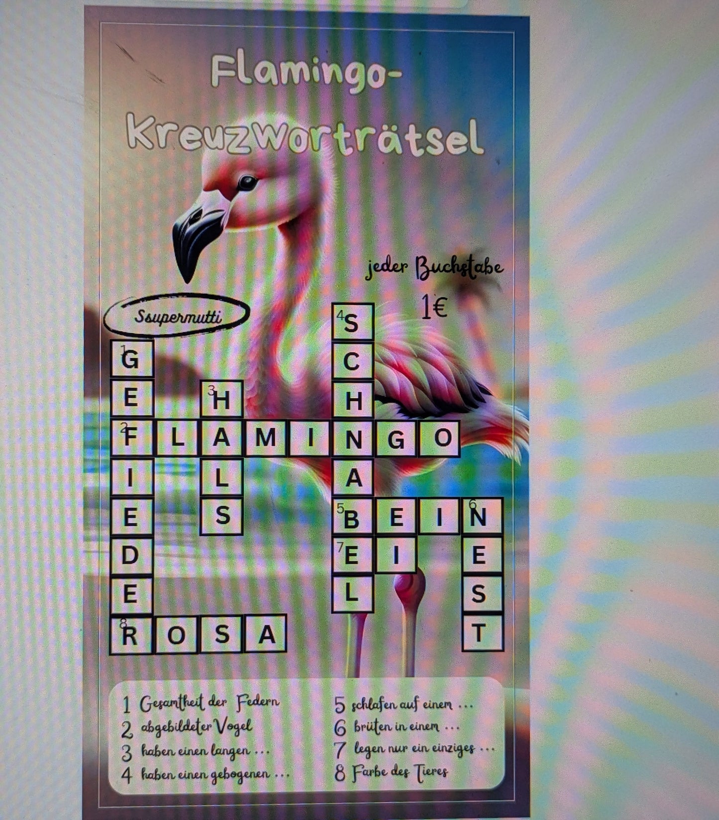 Flamingo Set - Comic